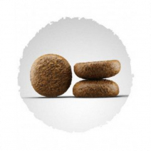 Josera Active Nature для Активных Собак 12,5кг