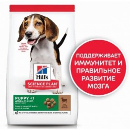 Интернет Магазин Товаров Для Животных Минск