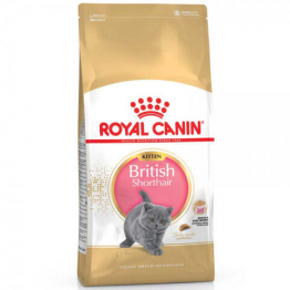 Royal Canin British Shorthair Kitten Британские Котята 10кг