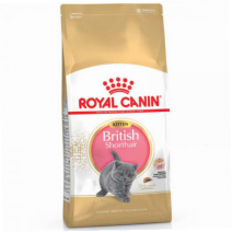 Royal Canin British Shorthair Kitten Британские Котята 2кг